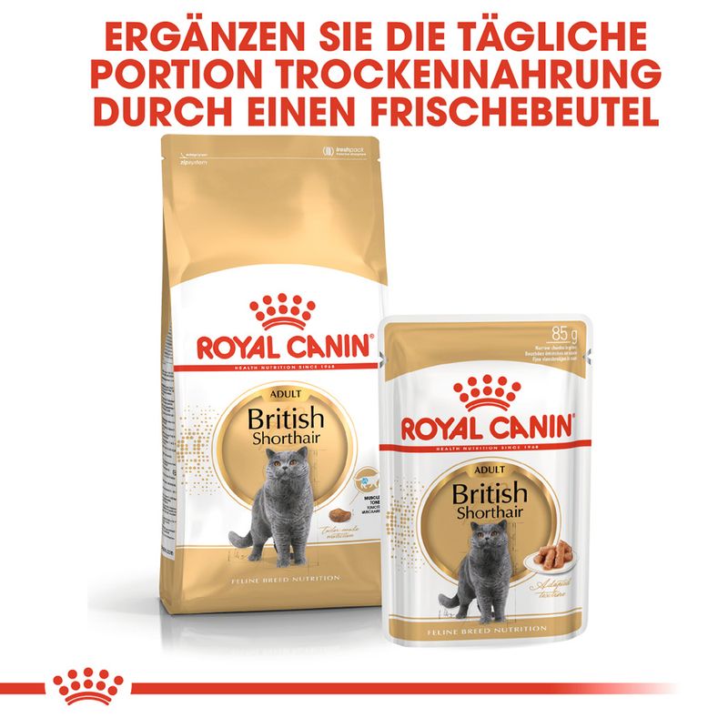Royal Canin British Shorthair Adult in Soße