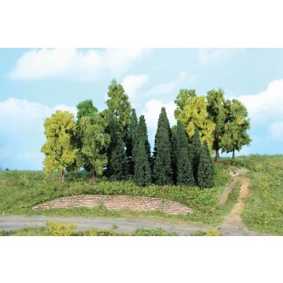 Mischwald N - 5-12 cm (22 Stk.)