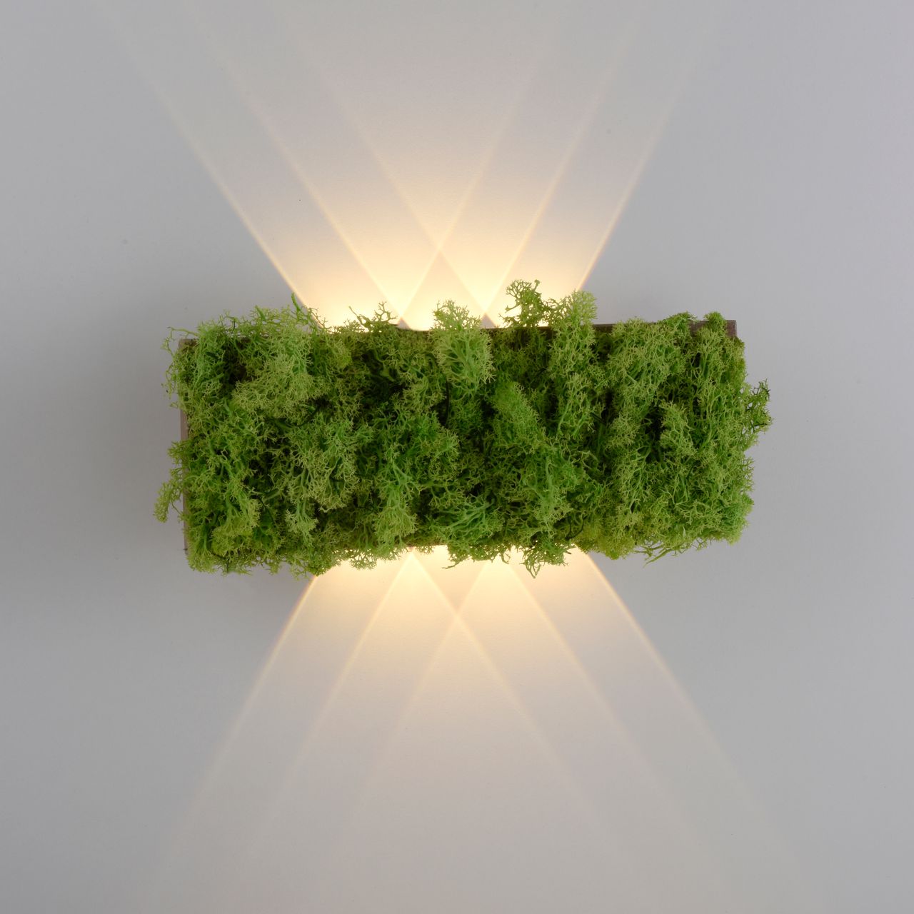 JUST LIGHT LED Wandleuchte GREEN CARLO, mit echtem Moos, 3000 K