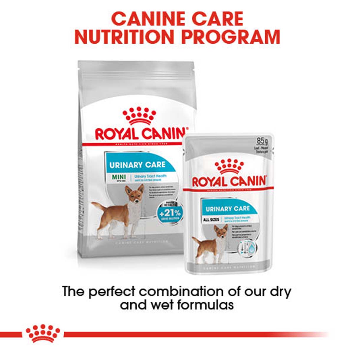 ROYAL CANIN Urinary Care Nassfutter für Hunde mit empfindlichen Harnwegen 12x85g