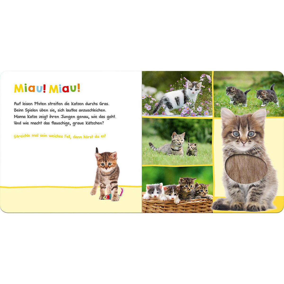 Hör mal rein, wer kann das sein: Lieblingstiere, Soundbuch mit Tiergeräuschen