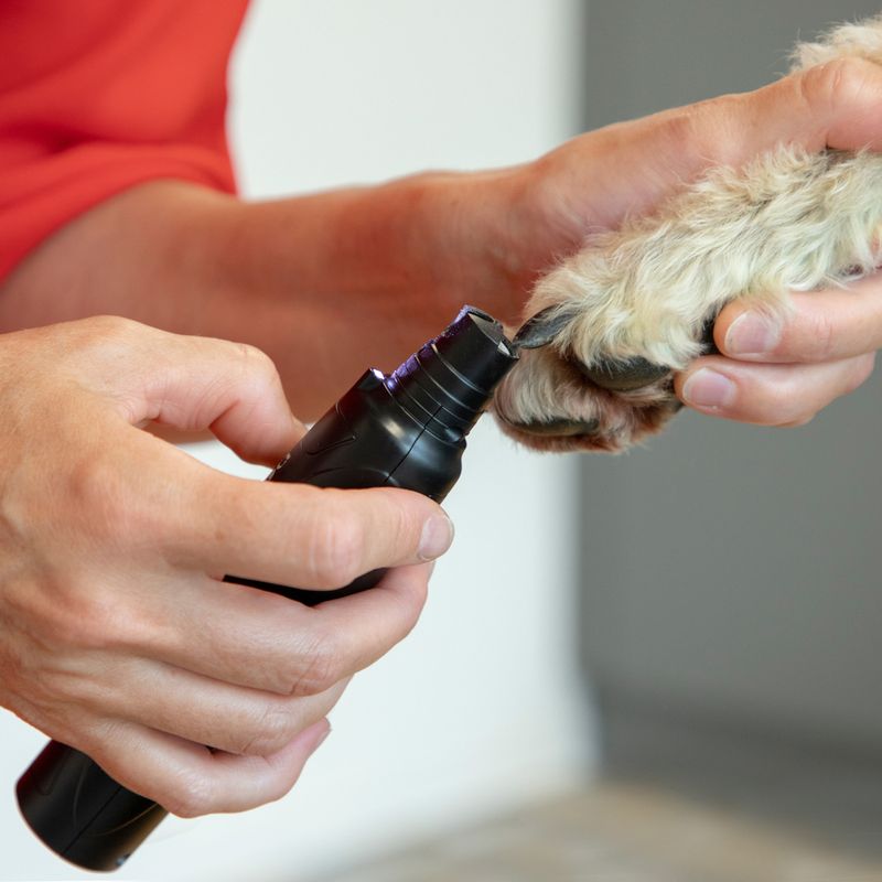 kooa kabelloser Krallenschleifer zu TOP-Preisen