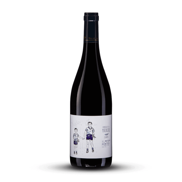 Chinon Rouge 2021 - Domaine de la Marinière