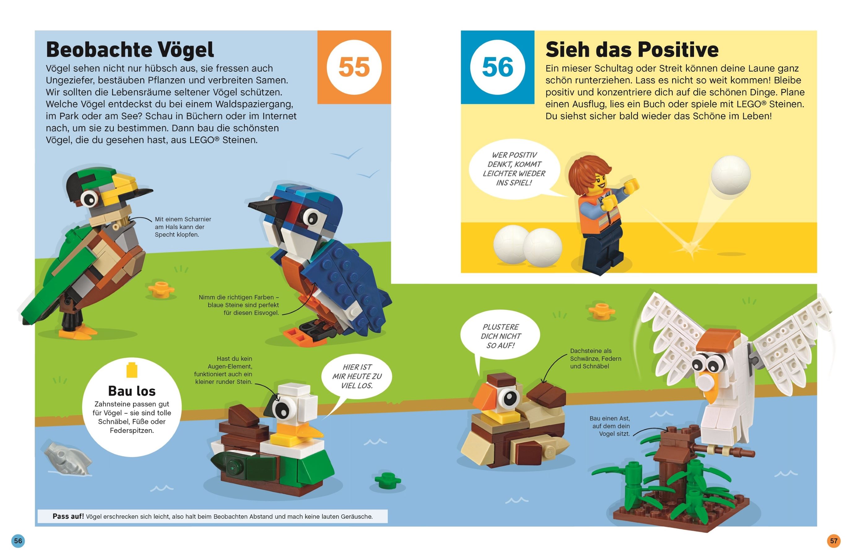 LEGO® 100 Ideen für eine bessere Welt 5007743