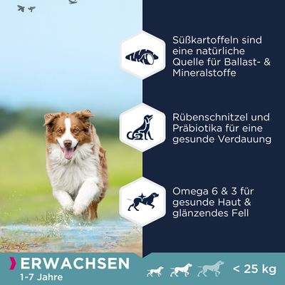 Eukanuba Grain Free Adult Small & Medium Breed Lamm
