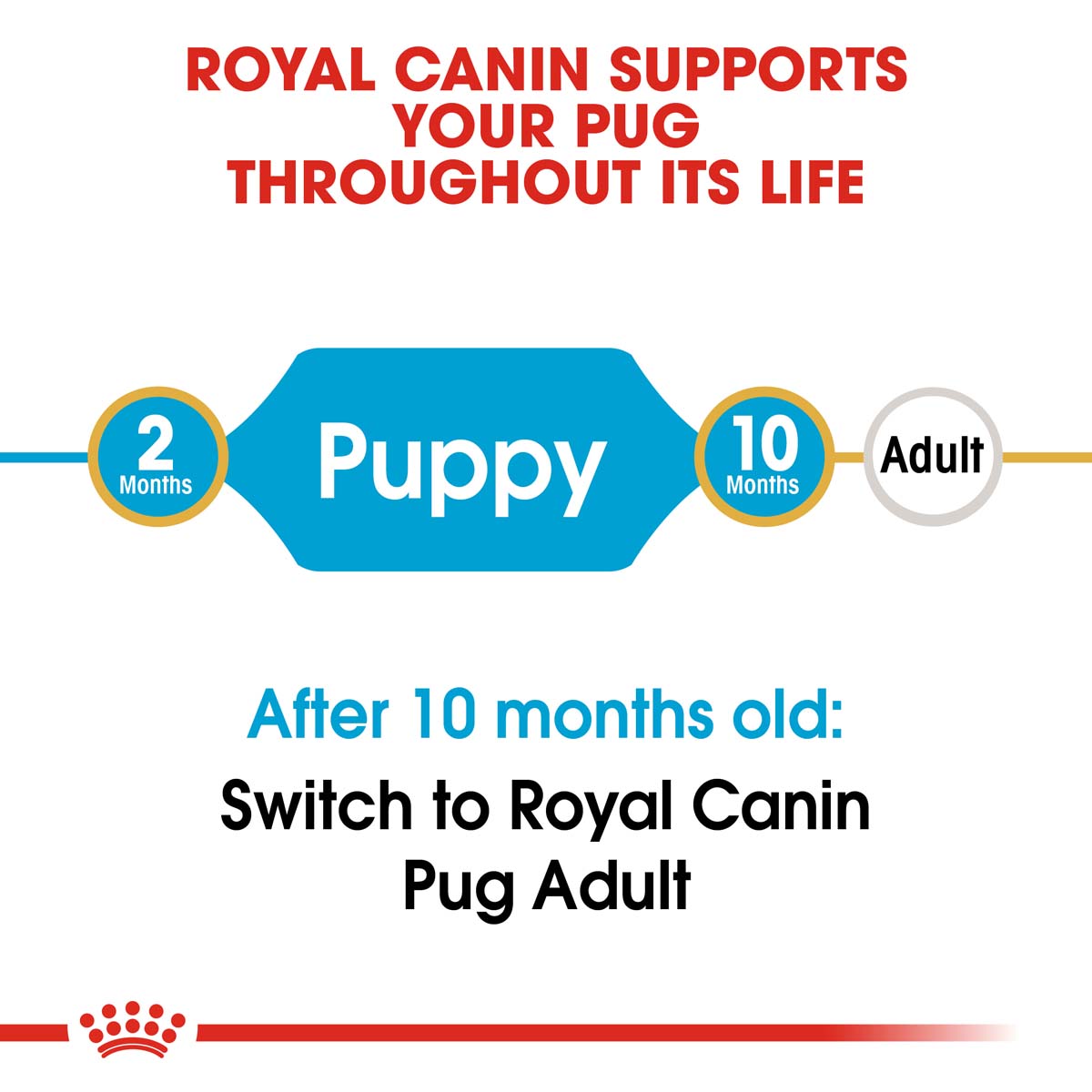 ROYAL CANIN Pug Puppy Welpenfutter trocken für Mops bei ZooRoyal