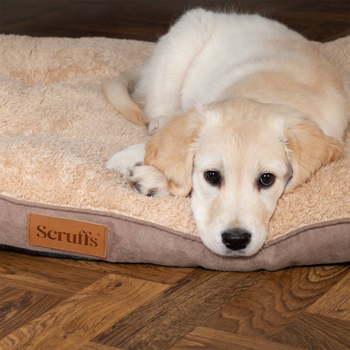 Scruffs Hundekissen Cosy Mattress Karamellbraun L bei ZooRoyal
