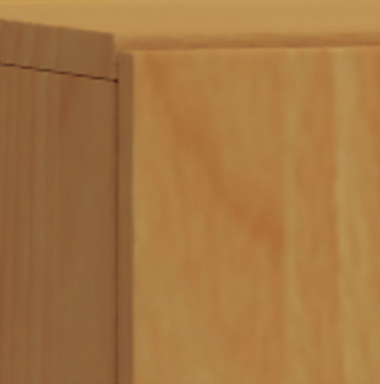 VCM Büroschrank Lona 2-Fach mit Drehtüren Buche
