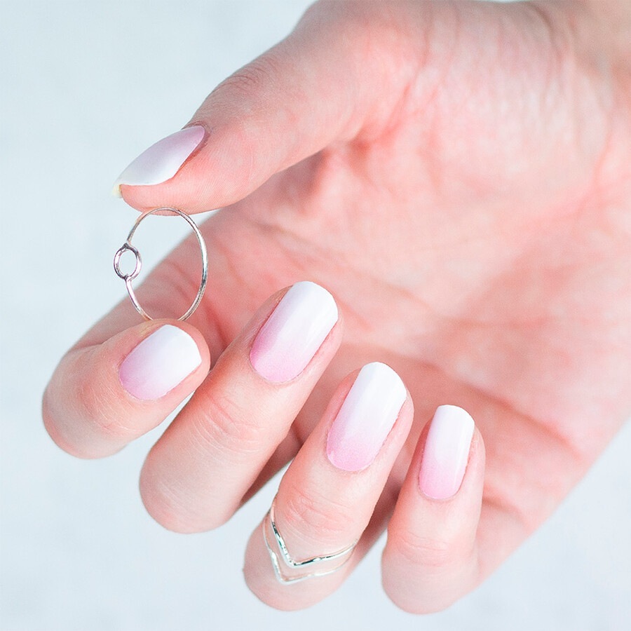 Rose Babyboomer