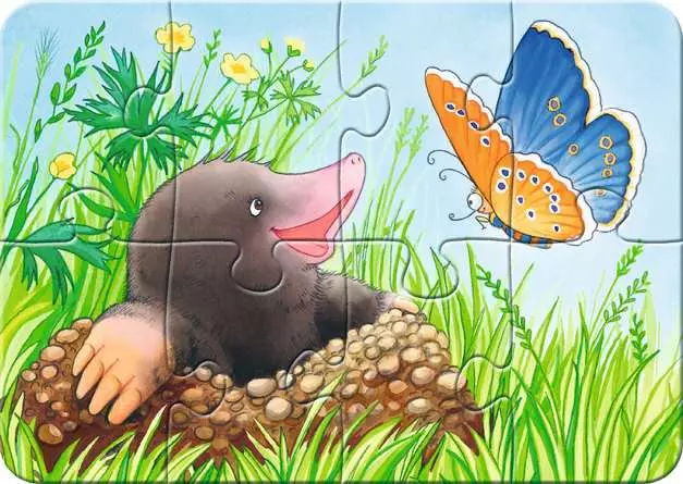 Kinderpuzzle ab 2 Jahren - Süße Gartenbewohner - 2 + 4 + 6 + 8 Teile