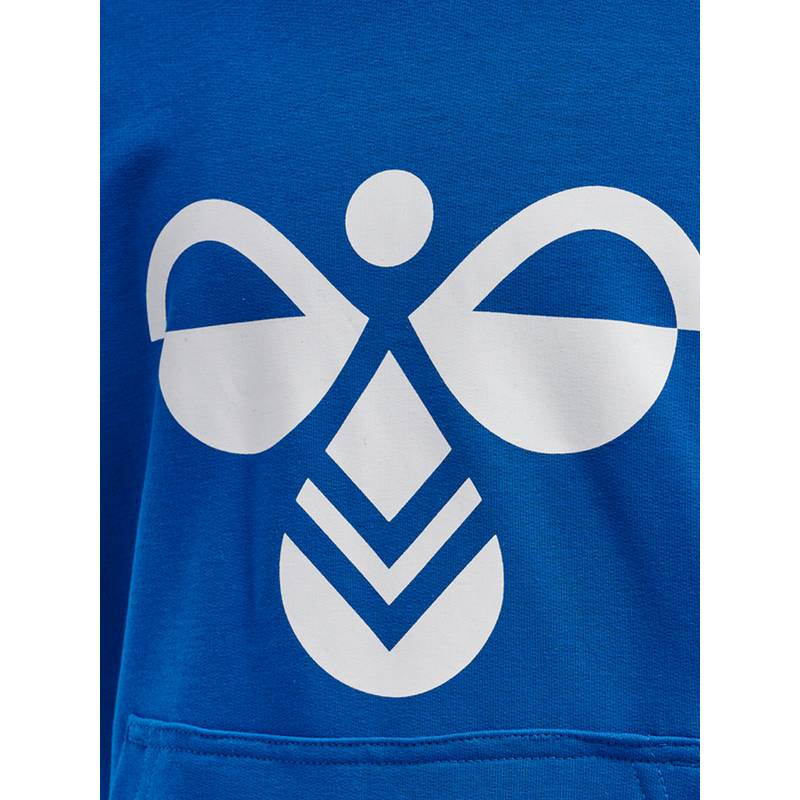hummel hmlCUATRO HOODIE Hoodie Kinder