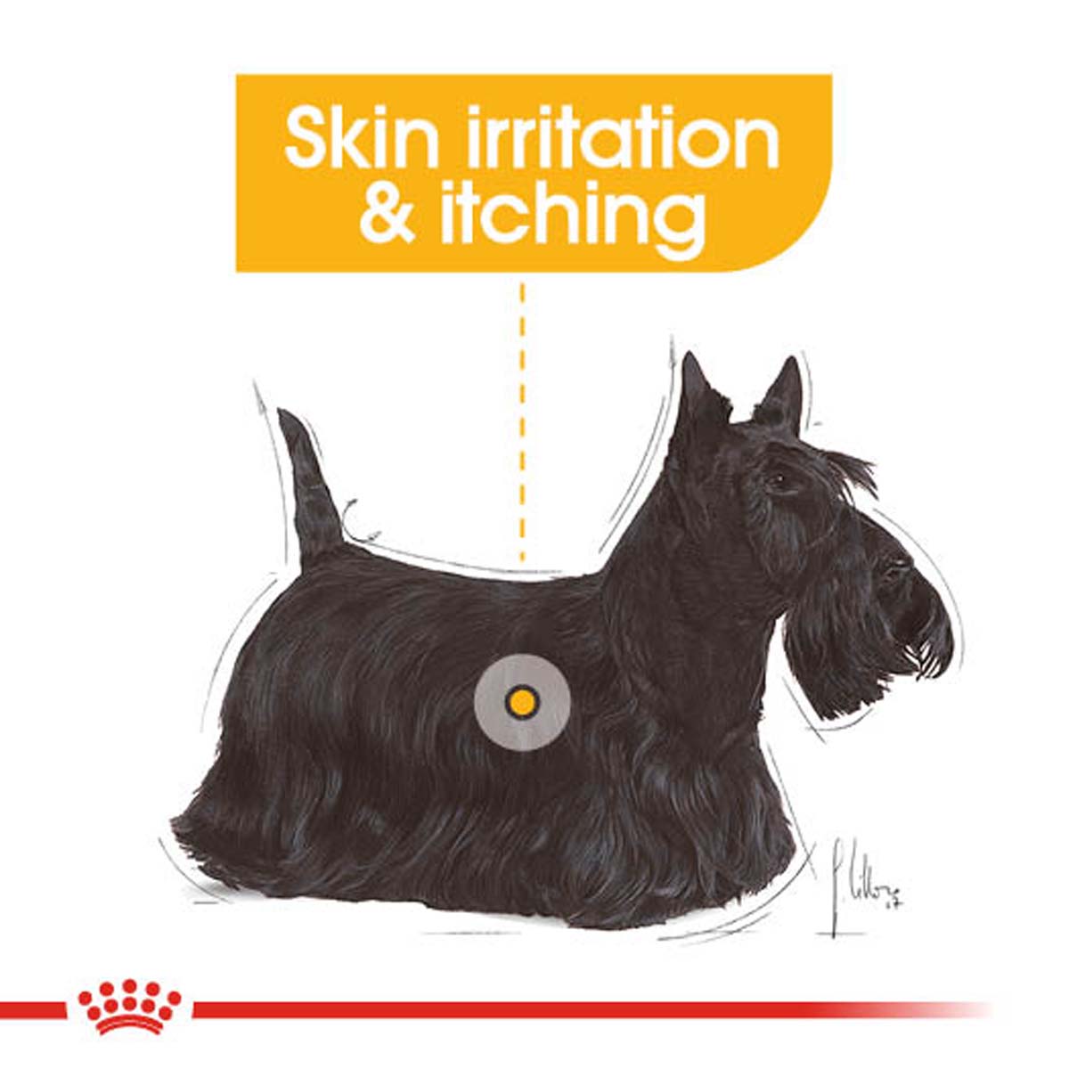 ROYAL CANIN DERMACOMFORT Nassfutter für Hunde mit empfindlicher Haut 12x85g