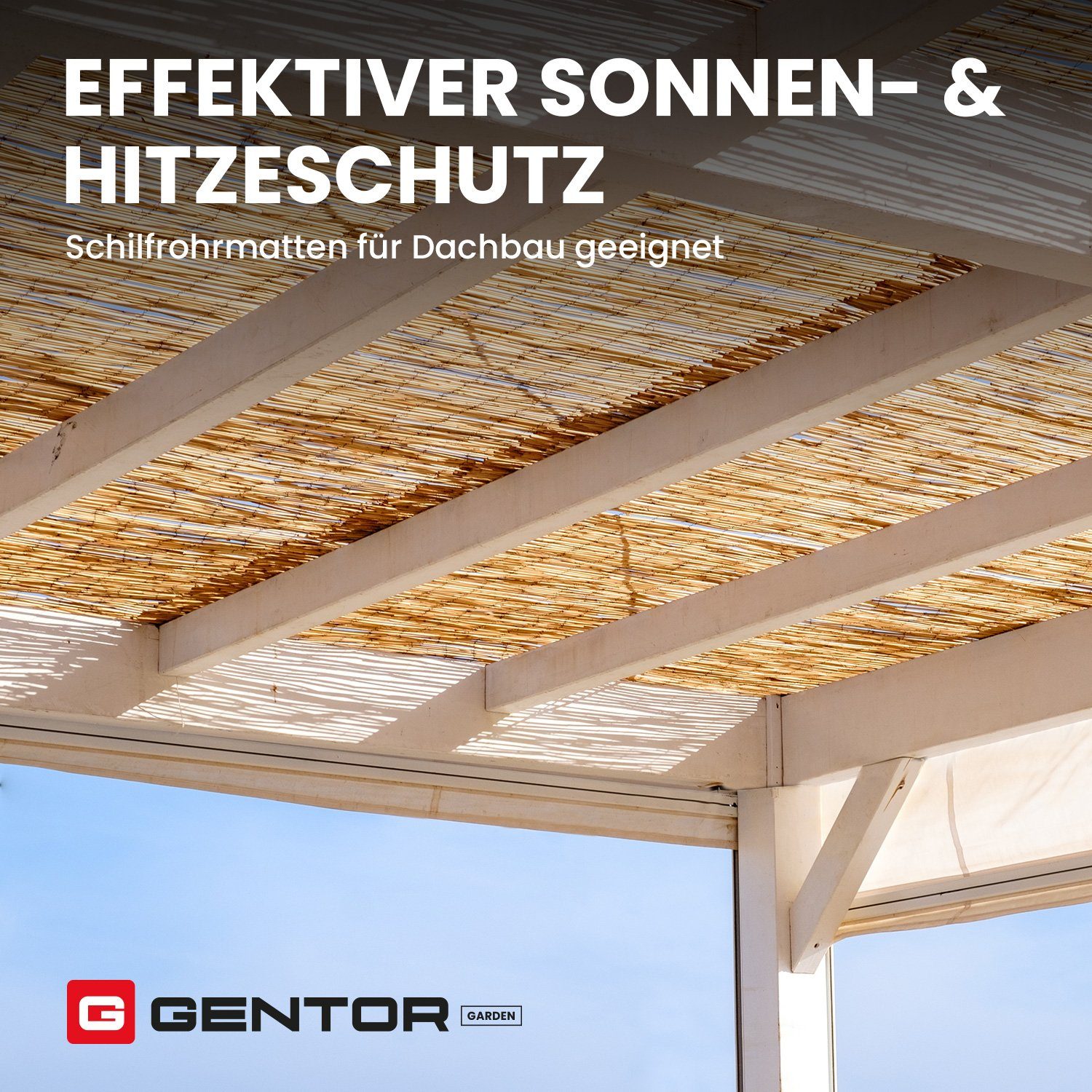 GENTOR Sichtschutzzaunmatten Schilfmatte Schilfrohrmatte Sichtschutzmatte Windschutz Sichtschutz, (Packung), Langlebig