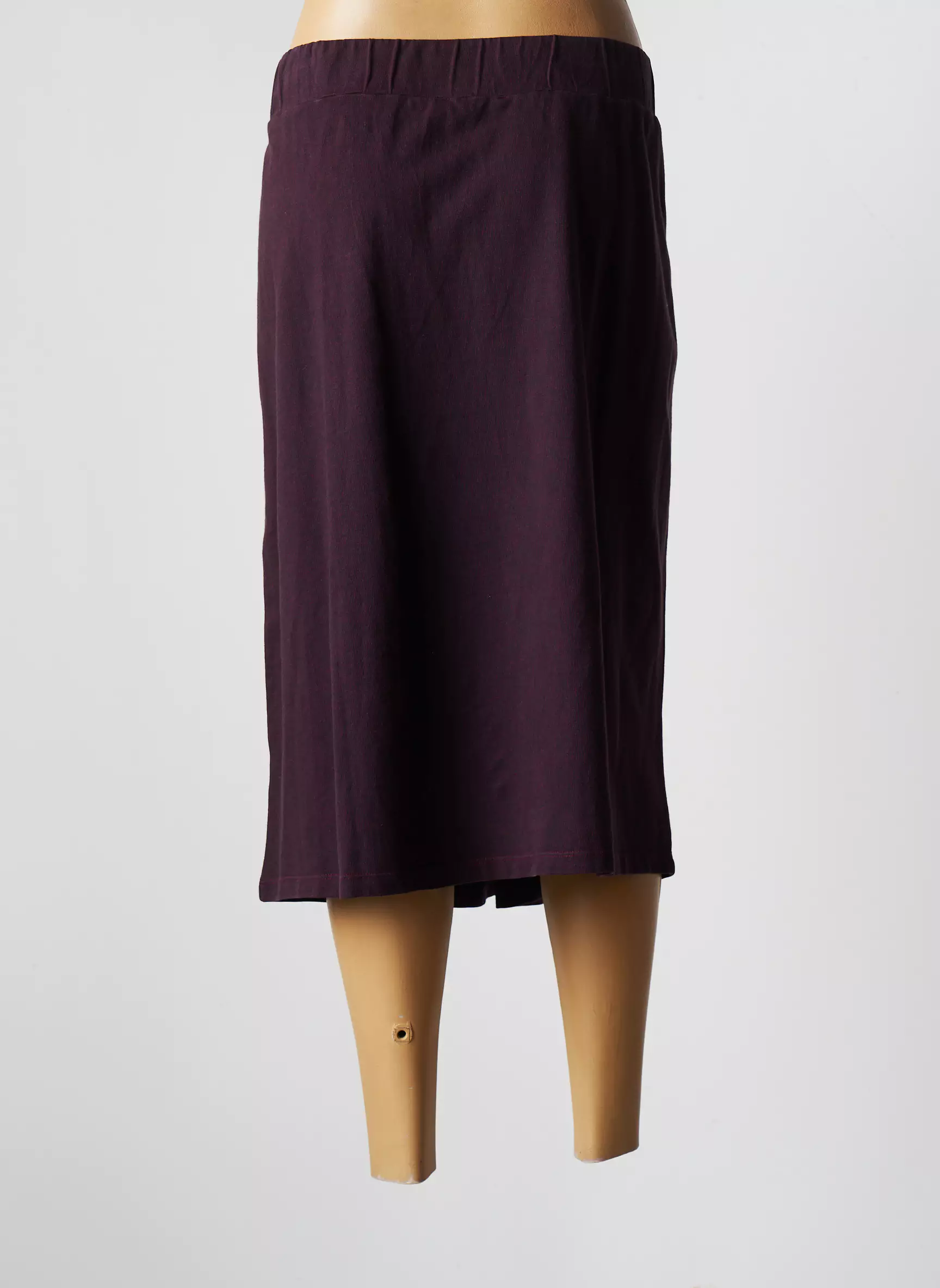 Agathe   Louise Jupes Mi Longues Femme couleur violet