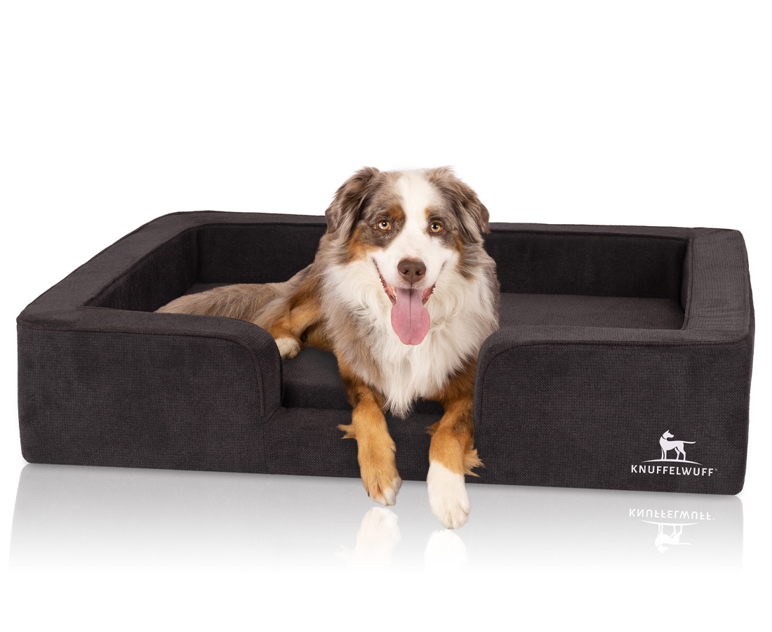 Knuffelwuff Hundebetten Knuffelwuff orthopädisches Hundebett mit Wendekissen aus Velours Bellamy schwarz XXL