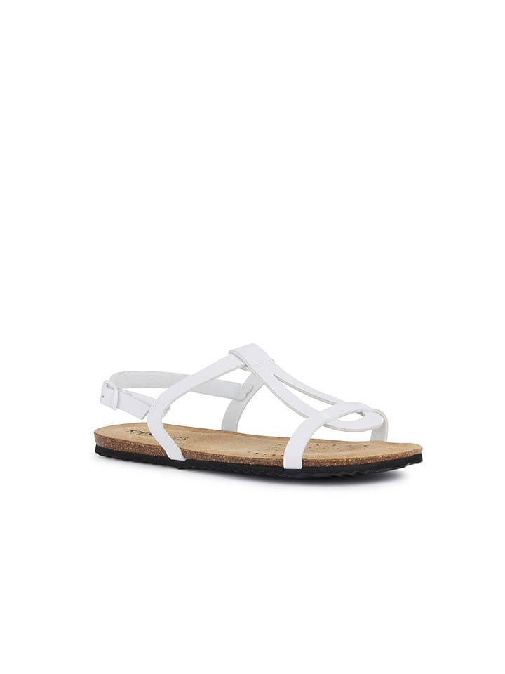 Geox Sandalen 