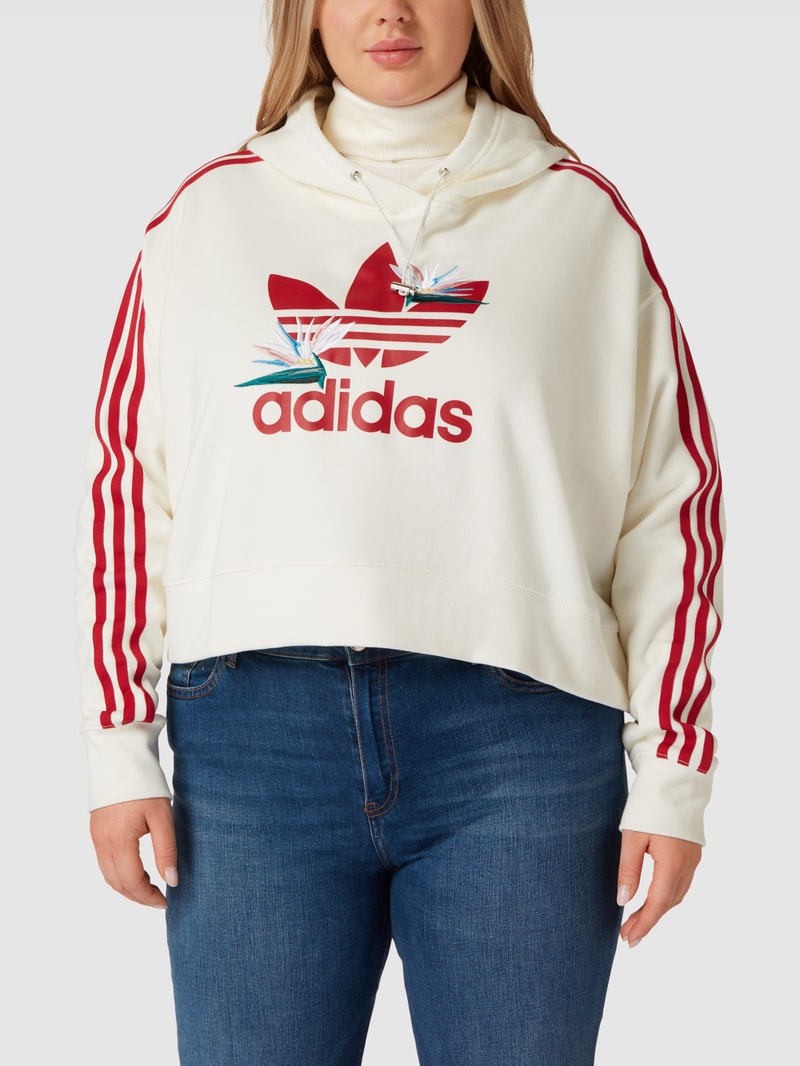 PLUS SIZE Hoodie mit Kapuze in offwhite