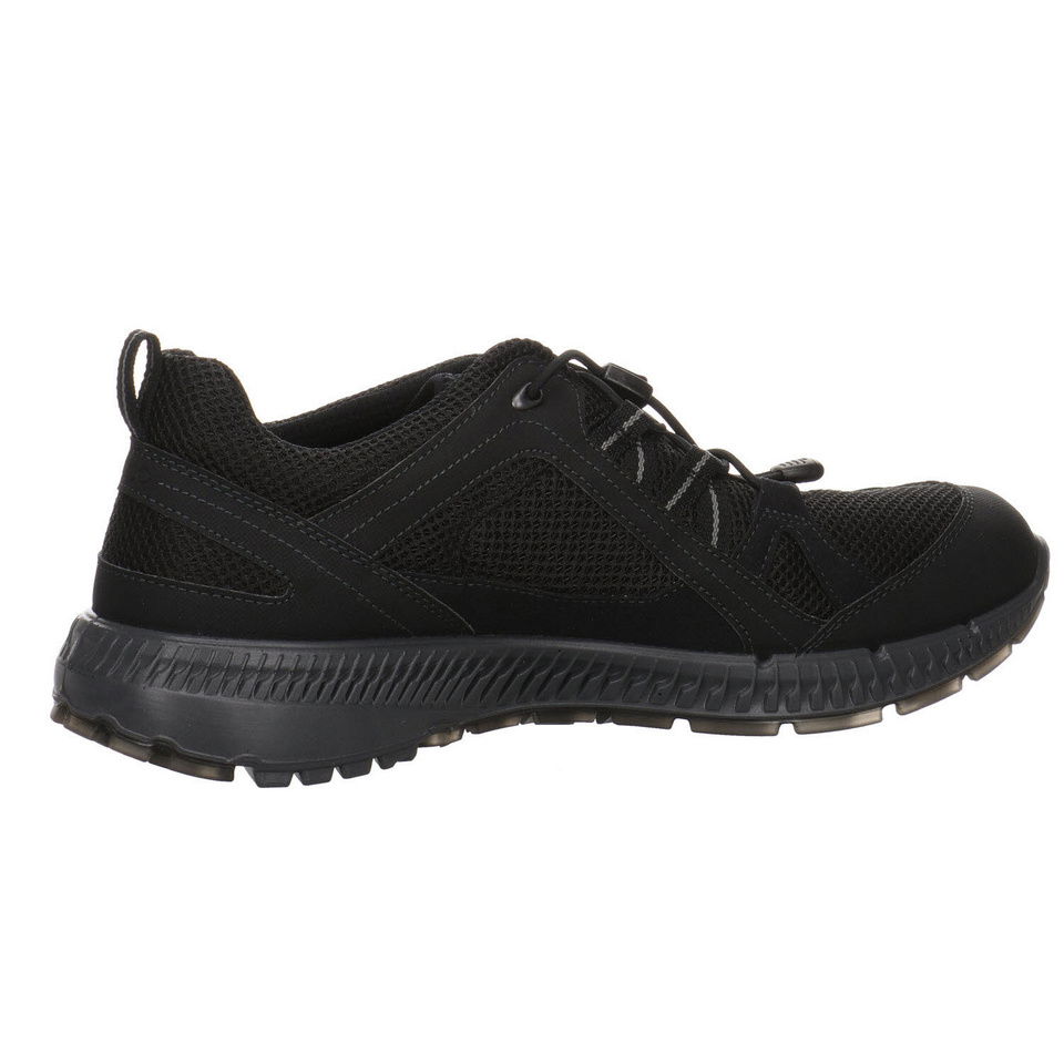 ECCO Terracruise GTX Outdoorschuh