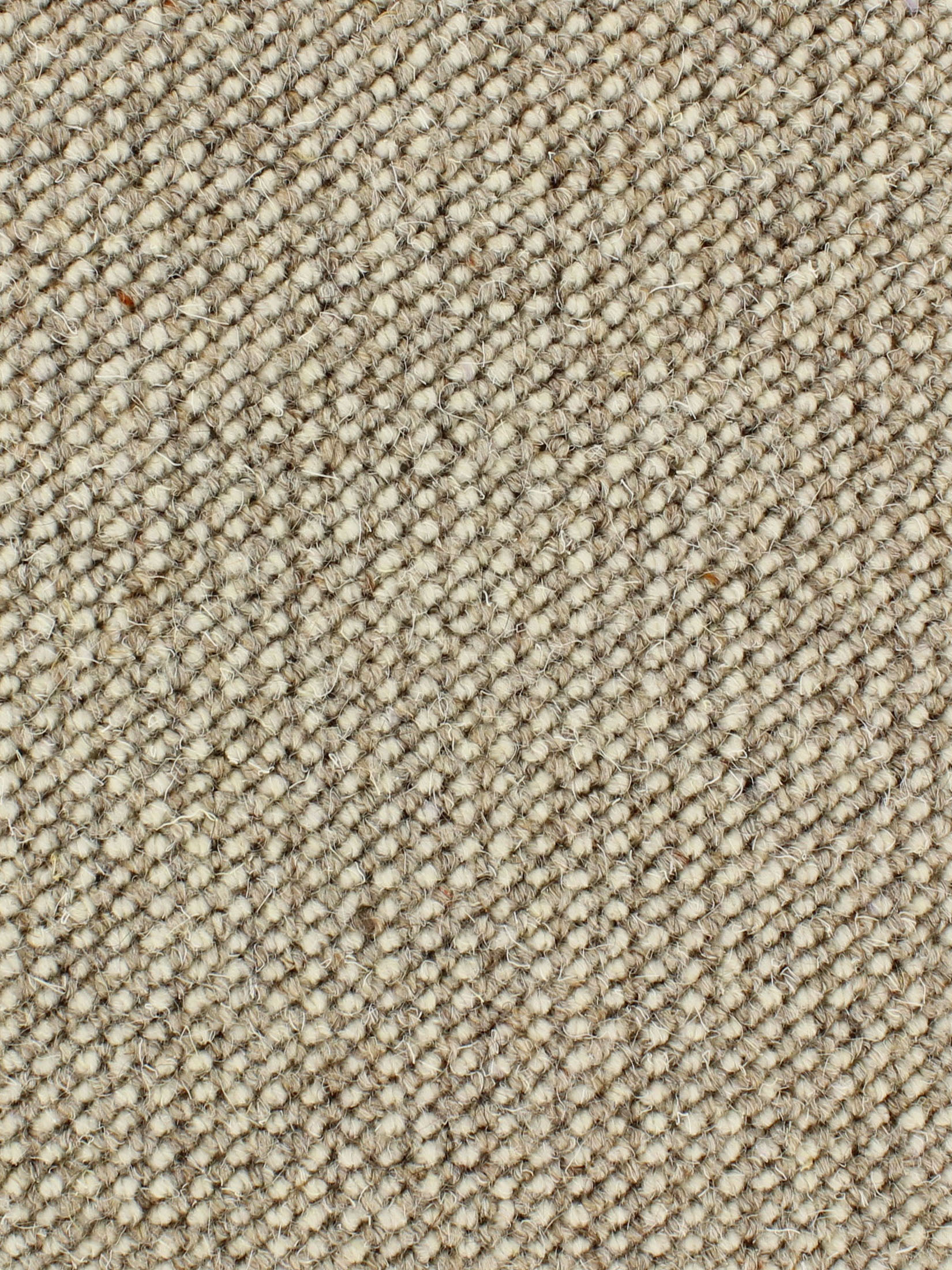 Wellington Woll-Teppichboden, Sand