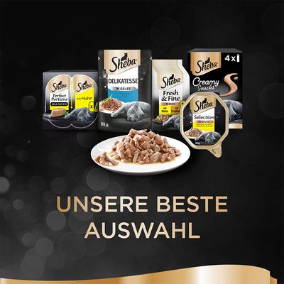 Multipack Sheba Varietäten Schälchen 32 x 85 g