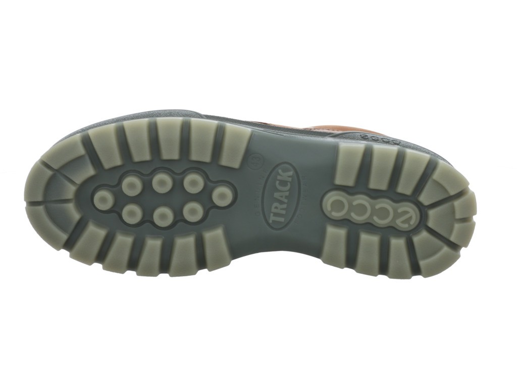 ECCO Trekkingschuhe braun TRACK 25
