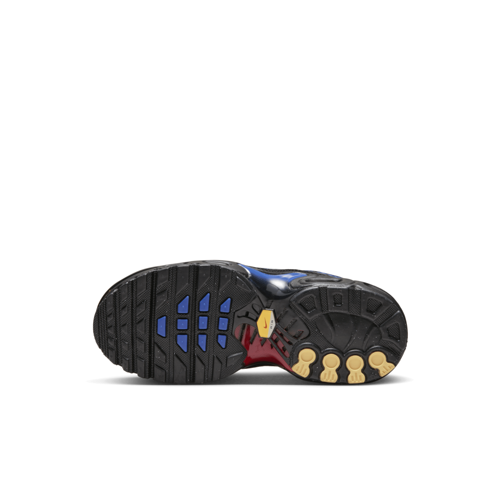 Nike Air Max Plus FV6917-001 / schwarz