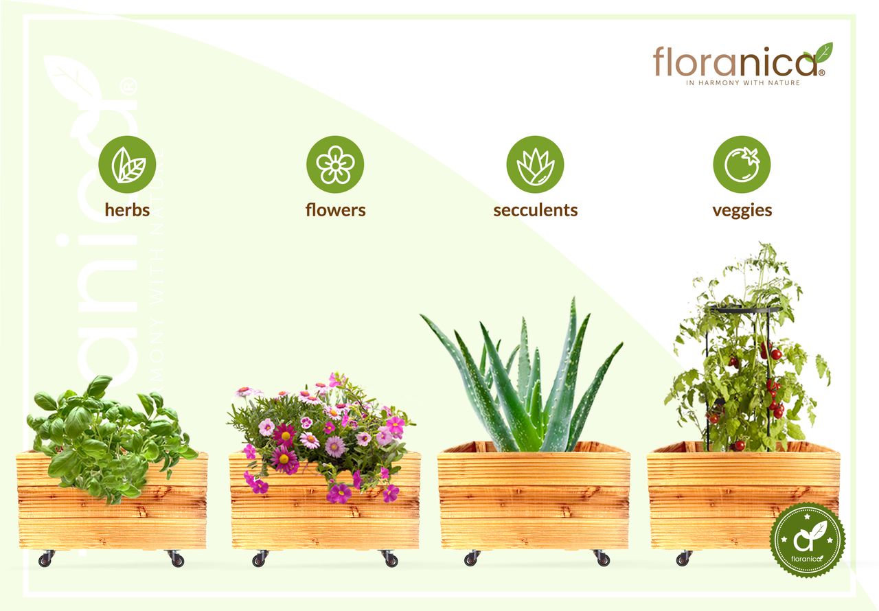 Pemicont Floranica Blumentopf aus Holz Kasten 4 Rollen 50cm x 535cm x 285cm Natural Imprägnierte Lärche Gehäuse für Kräuter Blumen Haus- und Gartendekoration Innen- und Außenbereich