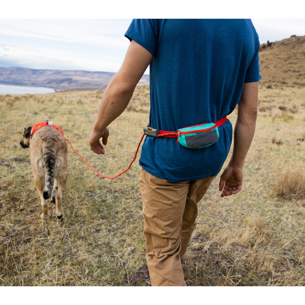HITCH HIKER LEASH - Hundezubehör