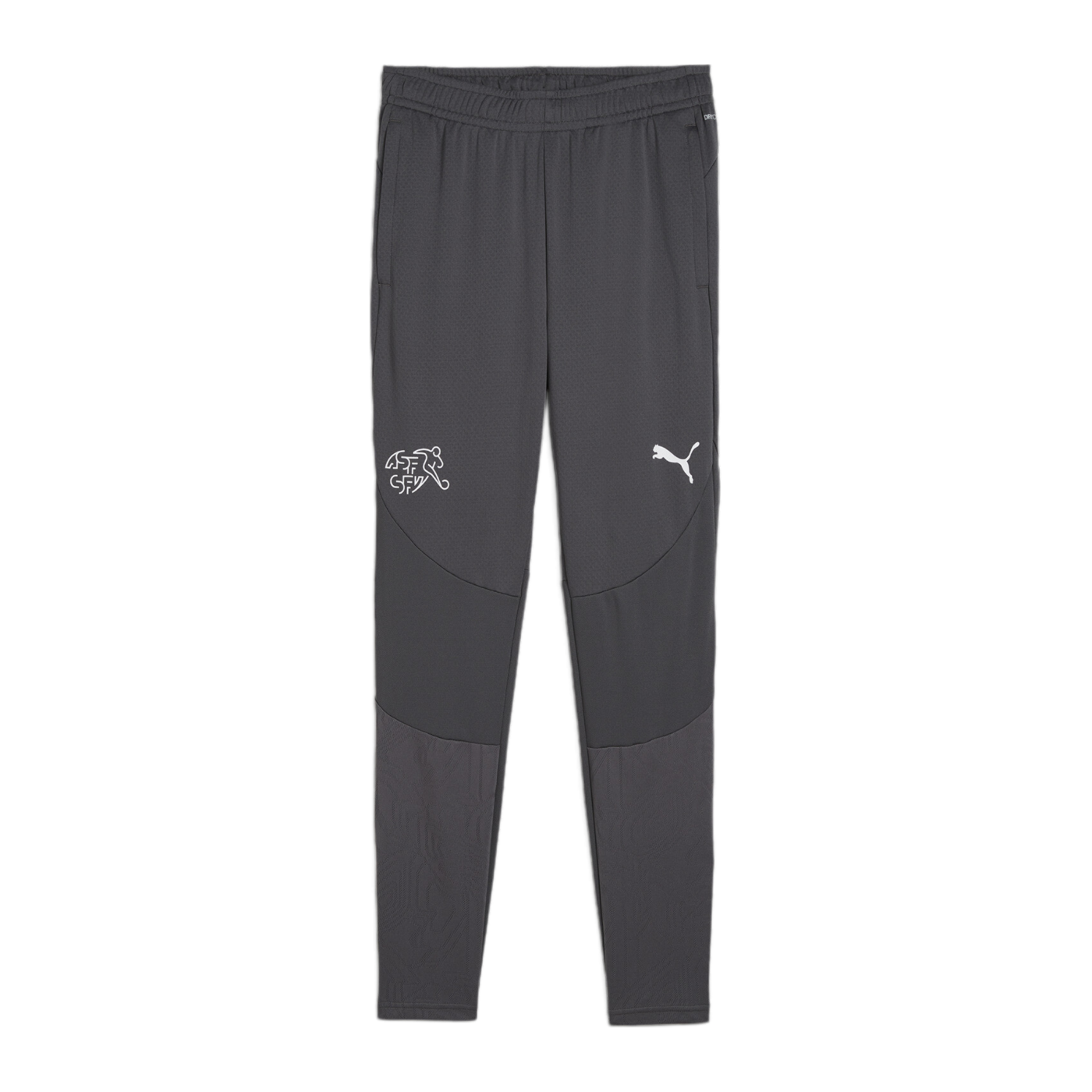 PUMA Schweiz Trainingshose EM 2024 Grau F11