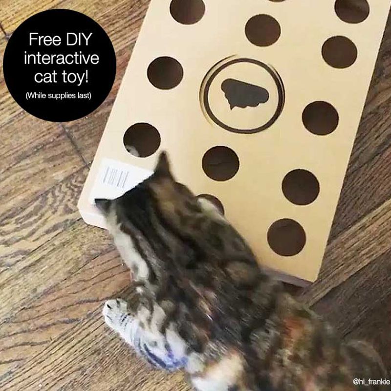 Modkat Tray Katzentoilette zu TOP-Preisen