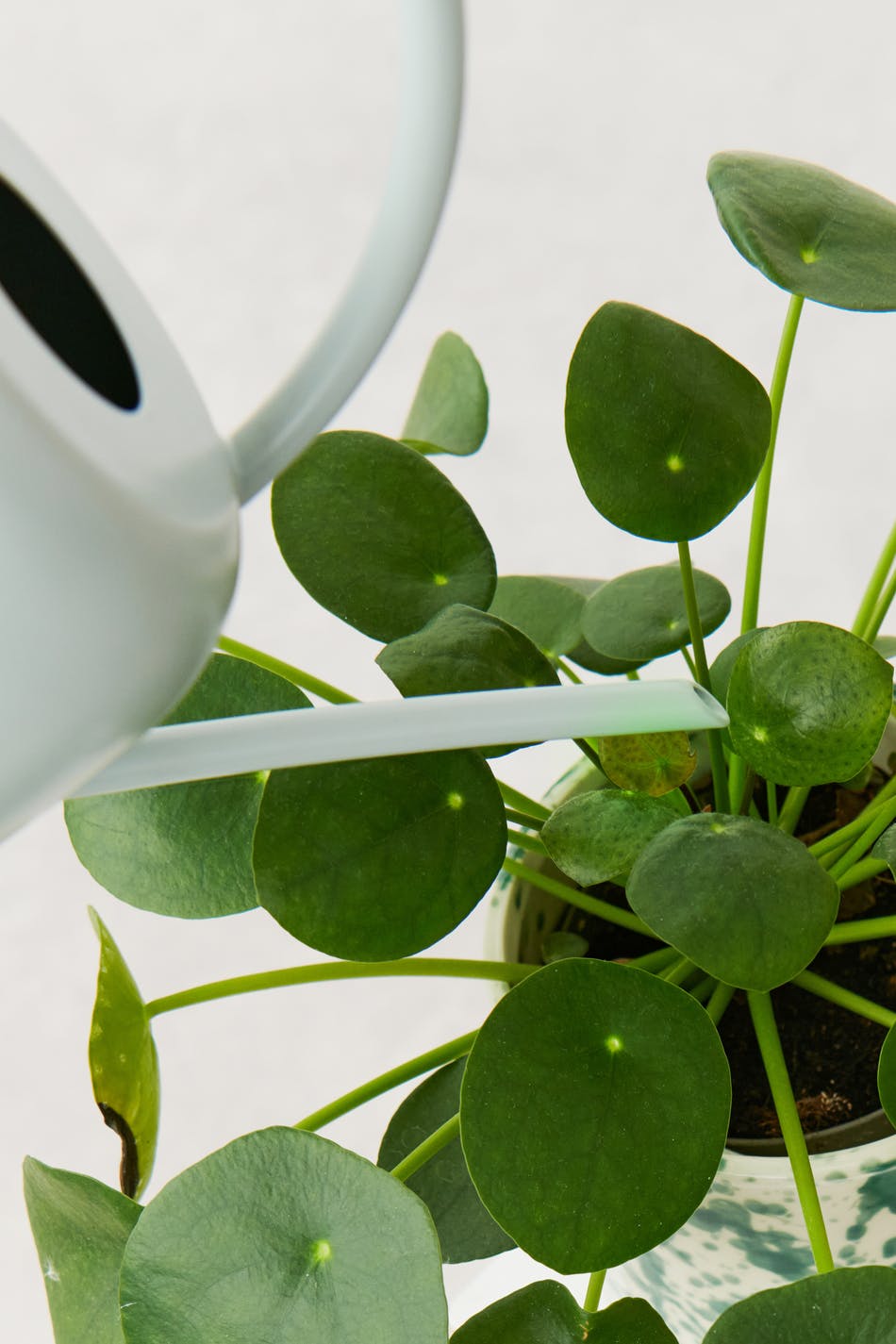 Watering metal can