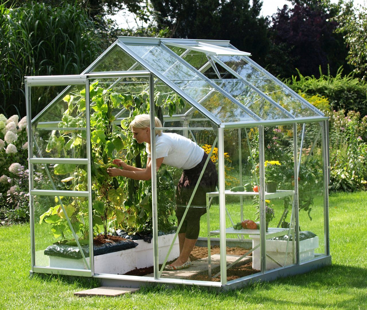 Vitavia Venus 3800 ESG 3mm