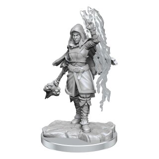 D&D Nolzur's Marvelous Miniatures: Half-Elf Warlock (2)