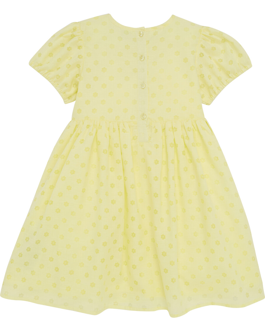 Kleid Ausbrenneroptik