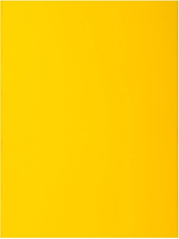 Exacompta Präsentationsmappe 216011E DIN A4 Gelb Karton 24 x 32 cm 250 Stück