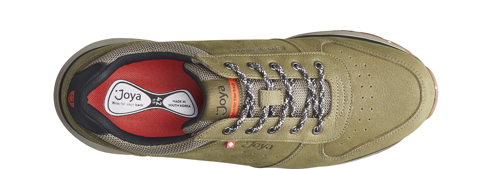 Dynamo Classic green