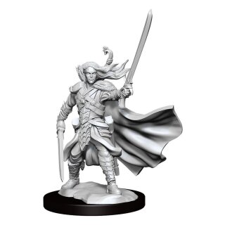 D&D Frameworks: Elf Ranger Male