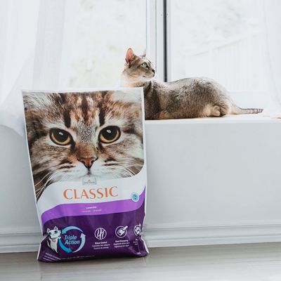 Intersand Classic Katzenstreu mit Lavendelduft