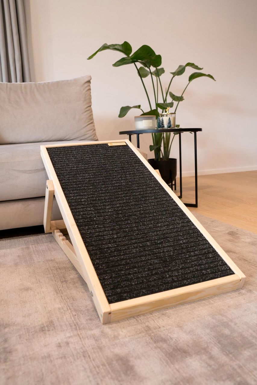 Animood Hunderampe Skipper naturbelassen Hundetreppe