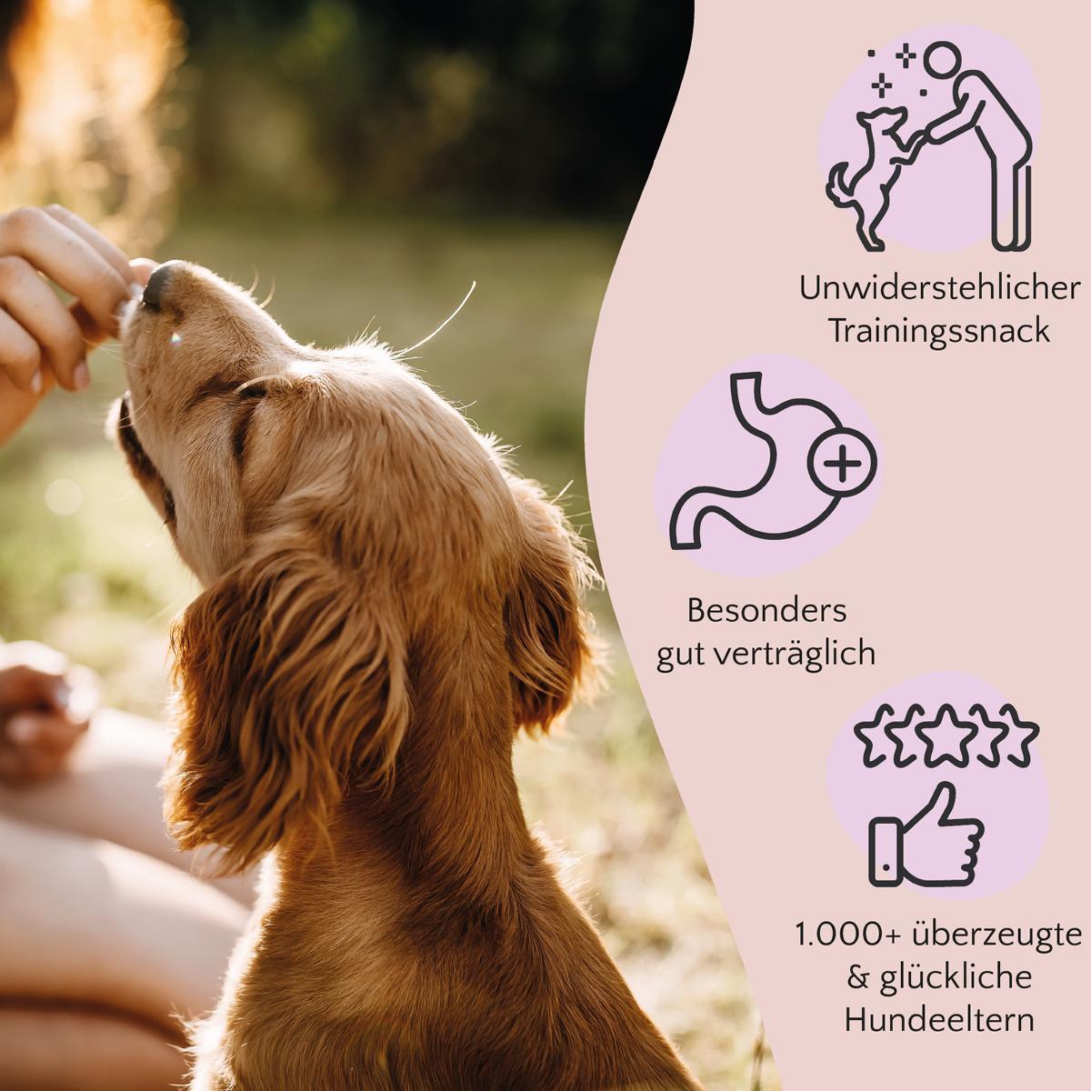FAVLY Petfood Snacks FAVLY Petfood PURE Bites Rind 360 g