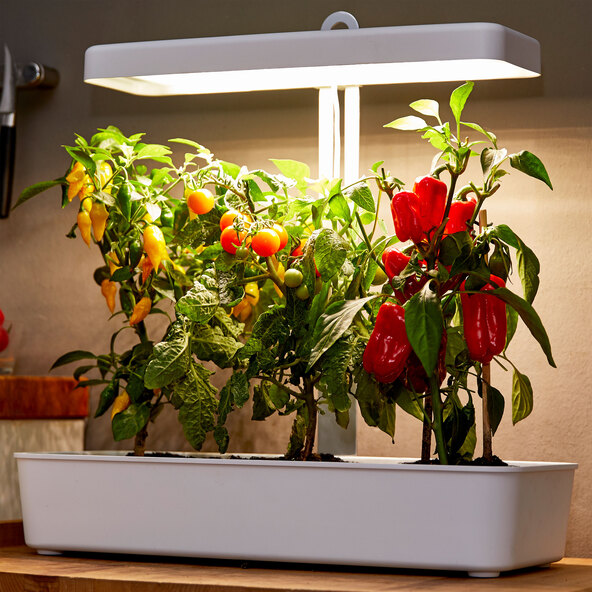 LED-Pflanzenlampe, 1.350 Lumen, 22 W