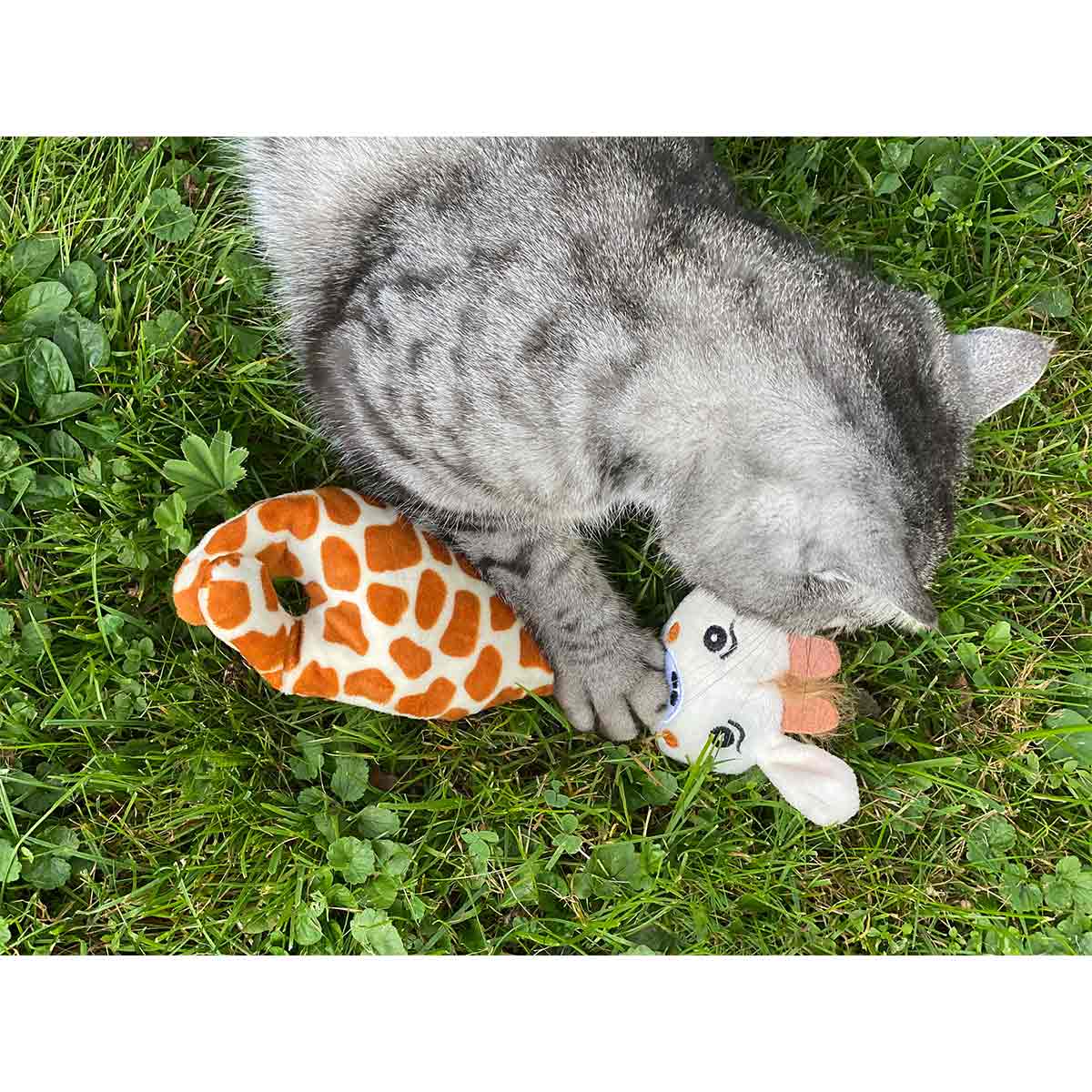 Aumüller Giraffe Gina Katzspkielkissen kaufen
