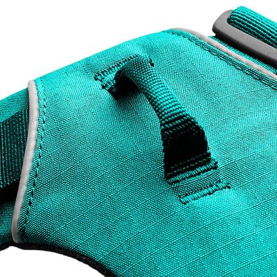 Ruffwear Front Range Hundegeschirr, Aurora Teal