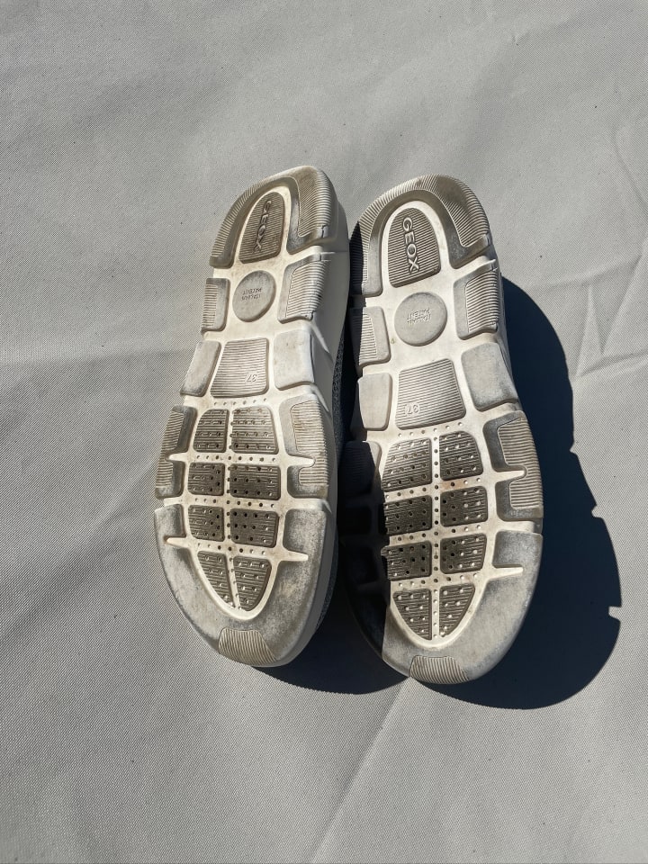 Geox Sneakers „Aril“ Hellgrau, günstig kaufen 37