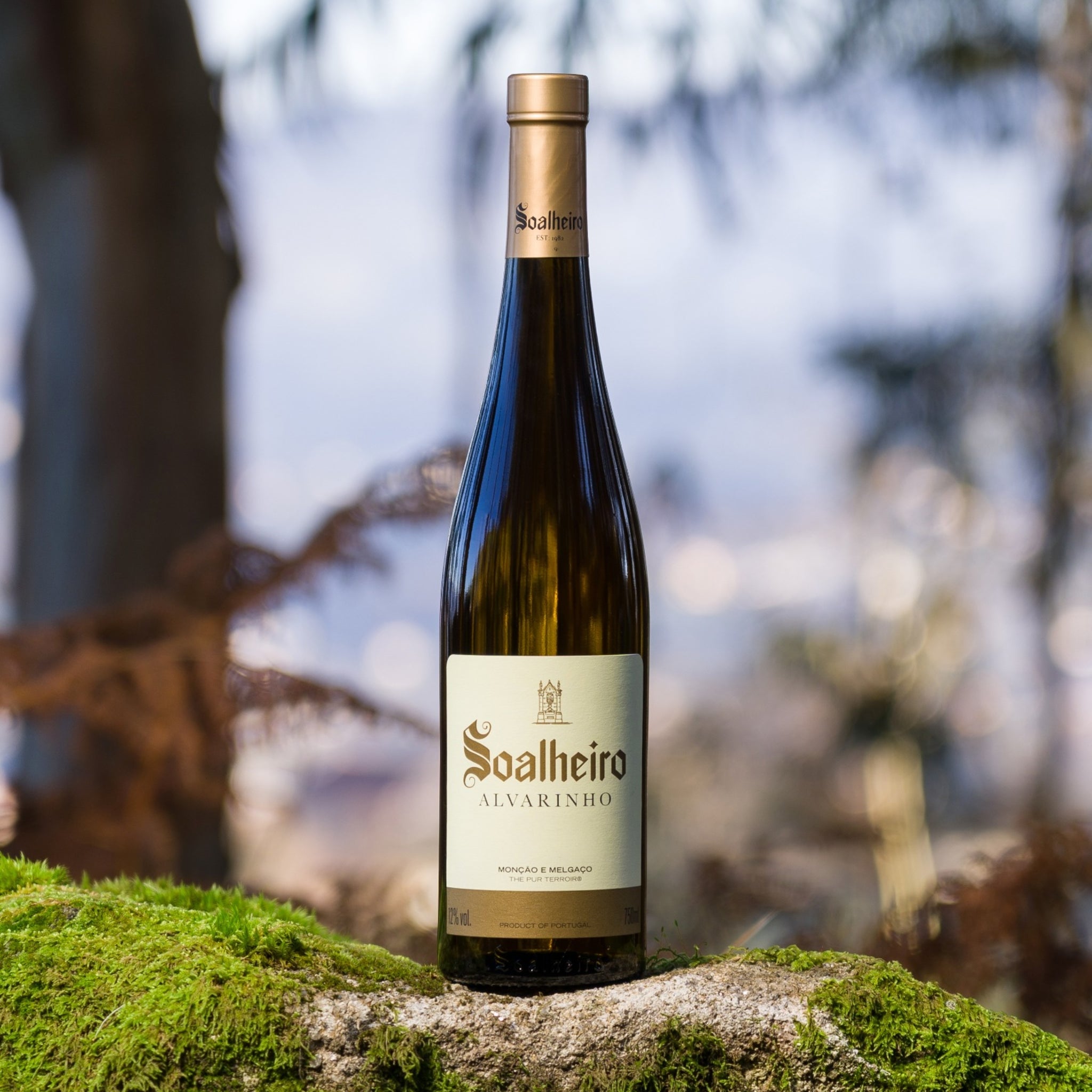 SOALHEIRO ALVARINHO CLASSIC WEISSWEIN 2022