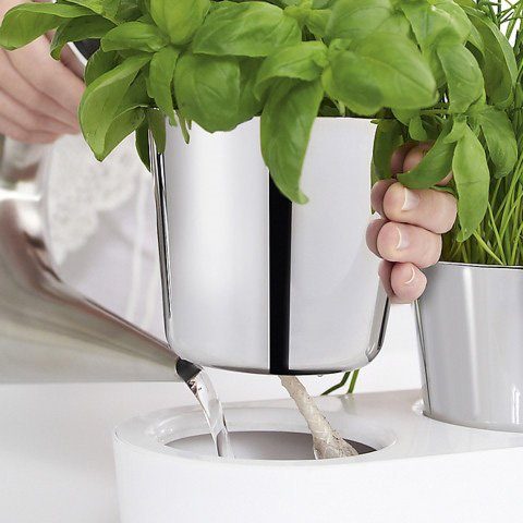 WMF Kräutertopf (Set, 7 St), mit Bewässerungssystem, Indoor