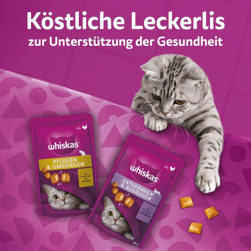 Whiskas Snacks Pounce & Play zu TOP-Preisen