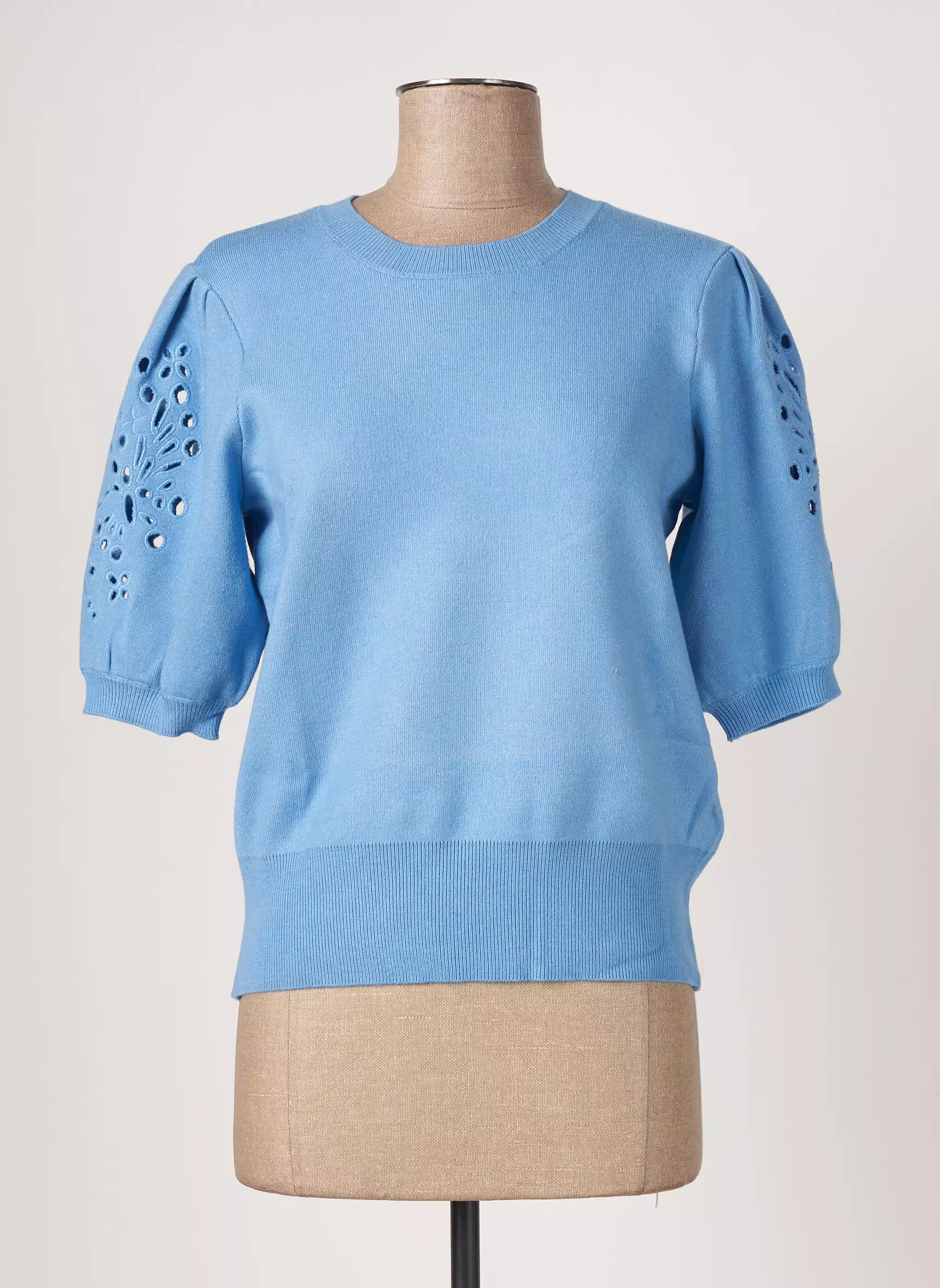 Object Pulls Femme couleur bleu