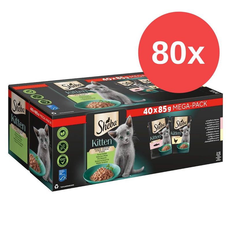 Sparpaket Sheba Kitten Varietäten Frischebeutel 80 x 85 g