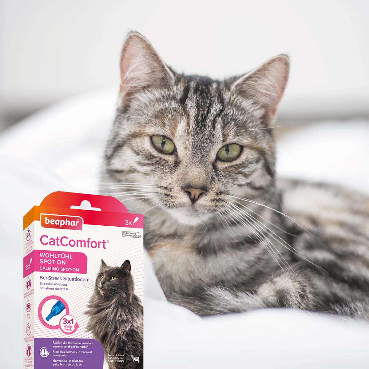 beaphar CatComfort Wohlfühl Spot-On 3x0,55ml kaufen bei ZooRoyal